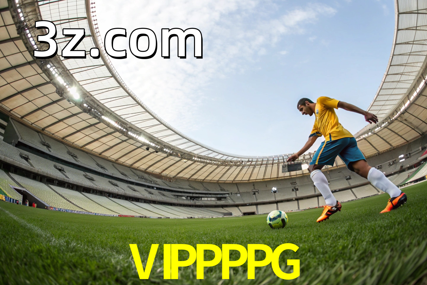apostas esportivas